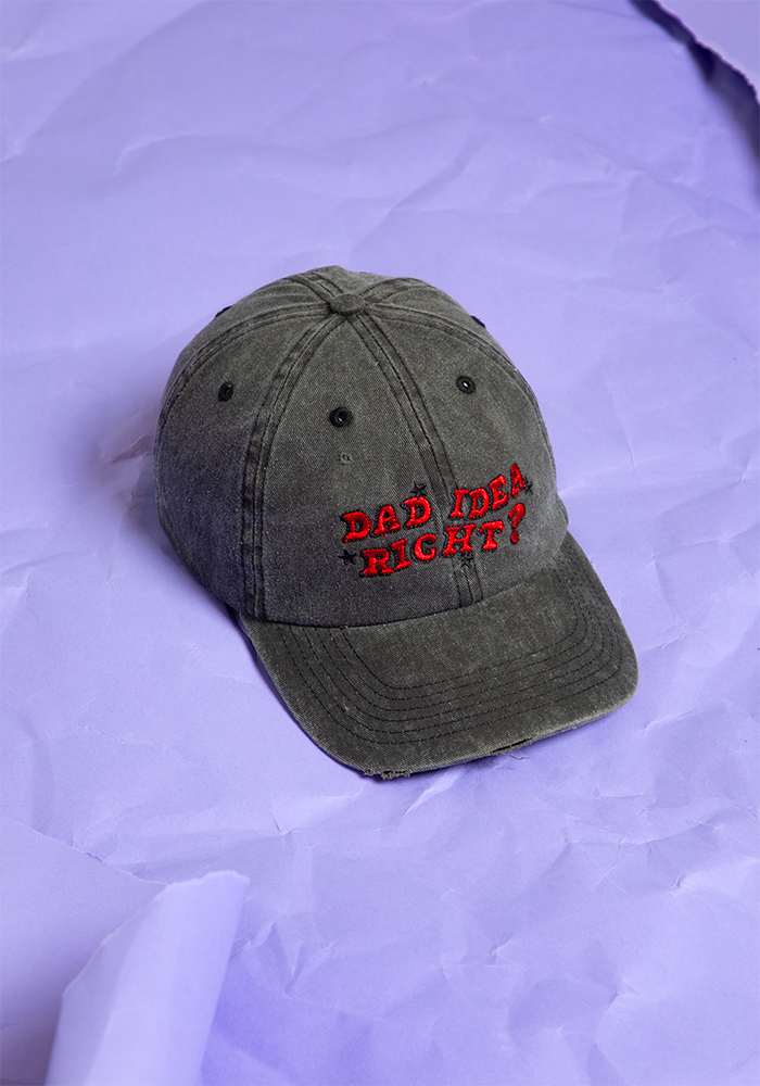 dad idea right? distressed dad hat
